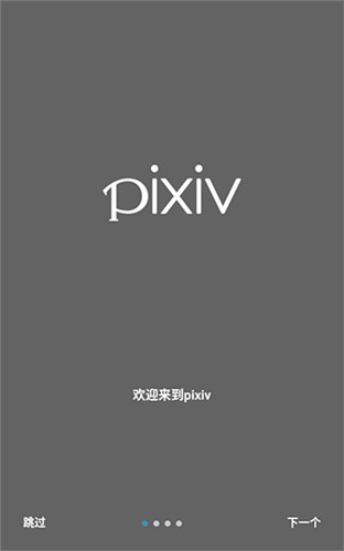 Pixiv app中文版下载安装到手机 v1.0 安卓版