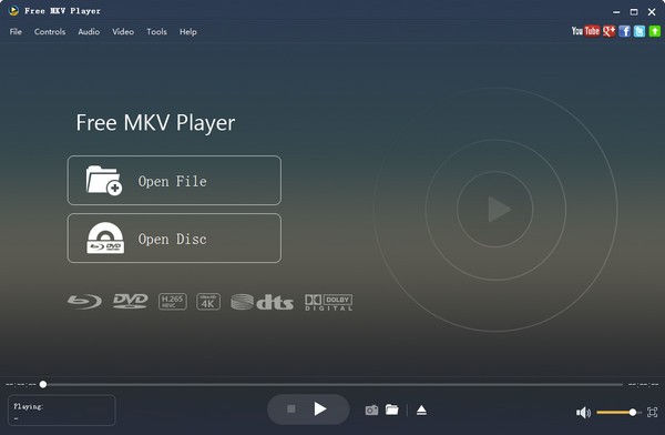 Aiseesoft Free MKV Player(MKV播放器)