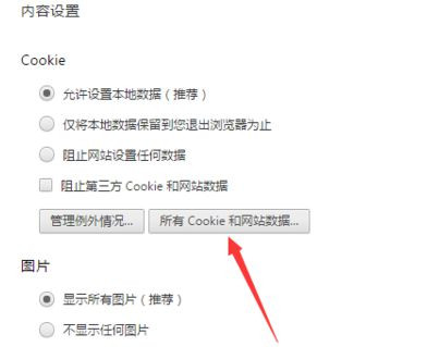 如何清除谷歌Chrome浏览器中某个网站的Cookie？
