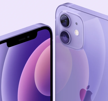 iPhone12紫色多大尺寸？iPhone12紫色真机图