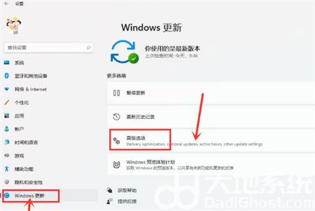 windows11如何打开传递优化功能 windows11打开传递优化功能方法介绍